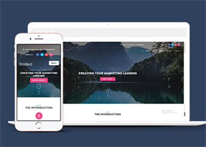 简洁响应式营销平台网站模板