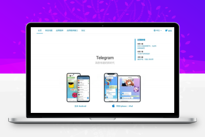 最新高仿TG假飞机源码感谢非常不错