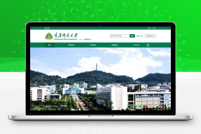 绿色通用的大学学校官网html模板