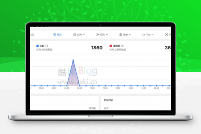 Software轻量网站统计分析系统源码