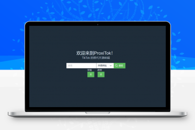 ProxiTok国际版抖音TikTok网页版源码，支持国内网络直连