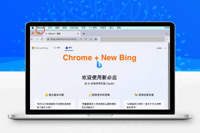 微软New Bing完美聊天机器人源码,支持ChatGPT提示词 国内可用,基本兼容微软 Bing AI 所有功能