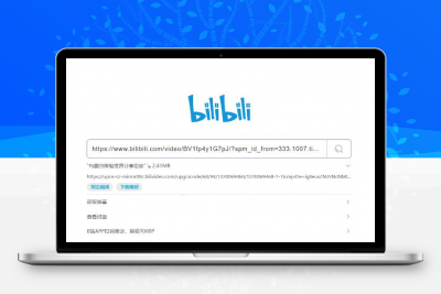 BilibiliDown免费极简B站视频解析提取工具源码