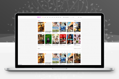 首发大橙子vfed V5.0去授权完美破解主题