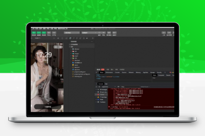 全内容自动采集宅男福利 4K壁纸小程序源码