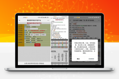 九龙道长同款样式八字排盘程序 八字排盘算命源码