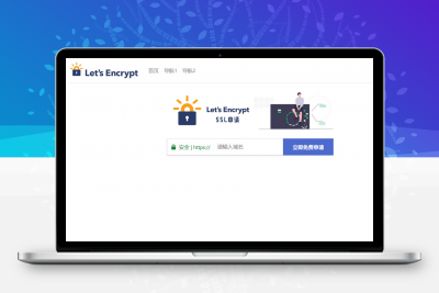 php源码大气的SSL申请单页源码