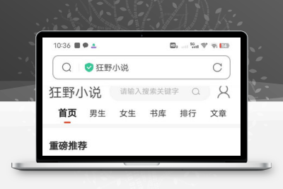 狂雨小说源码带管理后台手机端和采集