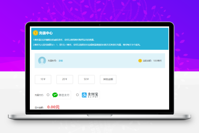 HTML用户充值页面充值中心模板