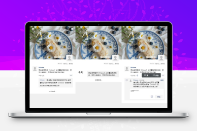 LAN朋友圈程序最新开源版去授权