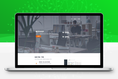 简洁大气的售卖介绍页源码