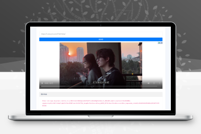短视频解析接口分发系统