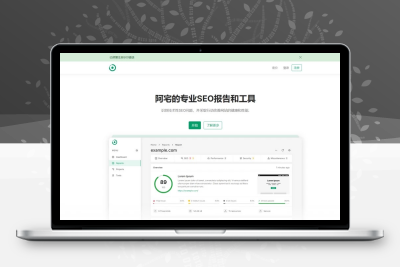 轻量SEO分析报告程序网站已开心汉化无授权