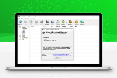 下载利器IDM v6.42.23绿色版