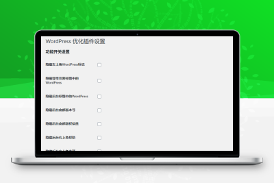 WordPress高效优化插件 dsdiss-wp-optimization 50项优化 更全面