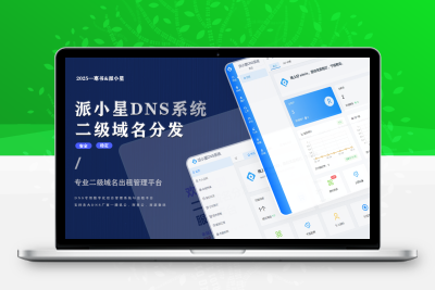 派小星DNS二级域名分发系统