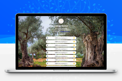 仿link3引导页html源码