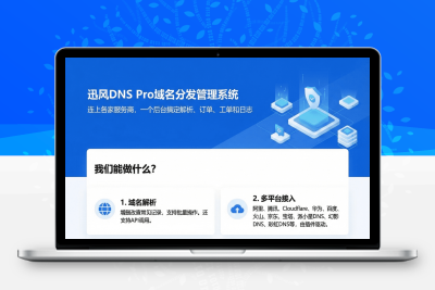 迅风DNS Pro二级域名分发V2.3.3系统源码